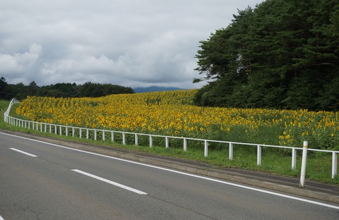 DSC09775