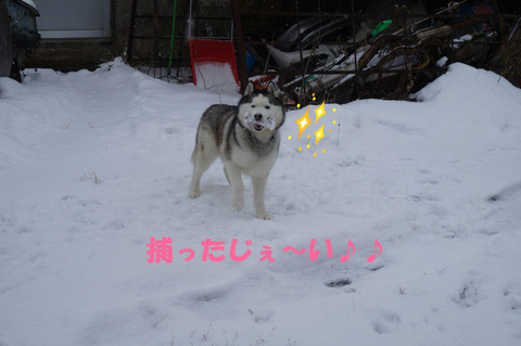 BlogPaint