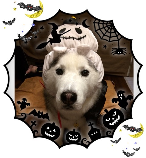 2017-10-29-18-53-10