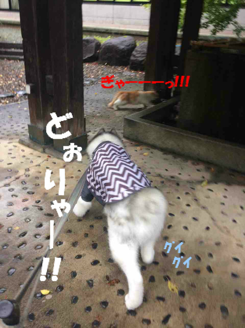 BlogPaint