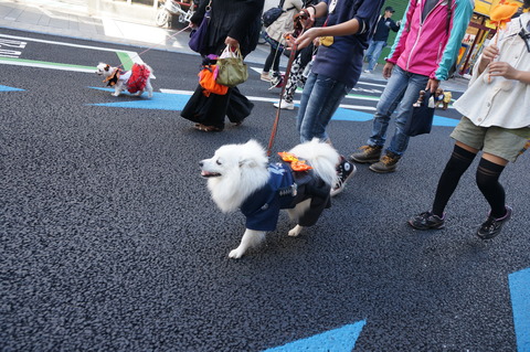 DSC01750