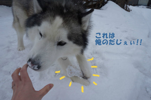 BlogPaint