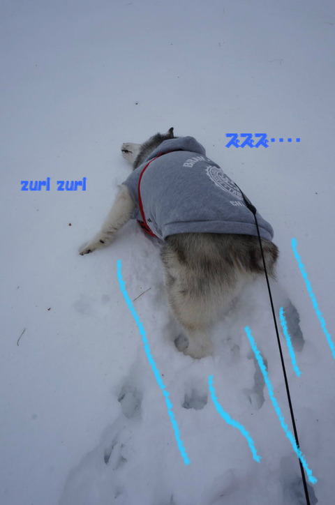 BlogPaint