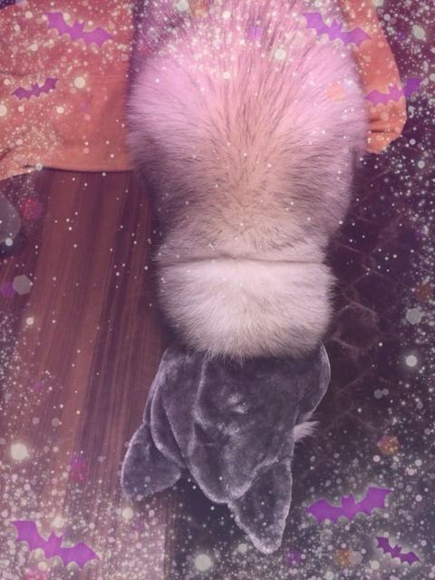 2017-10-29-19-03-07