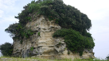 P1010252