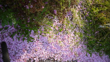 P1000319