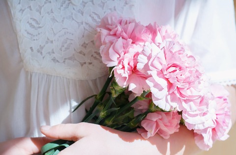 flowers-1329316_960_720