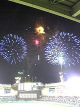 20090731.jpg