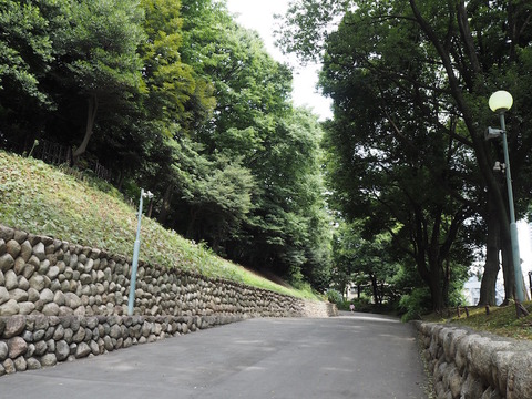 P7220008