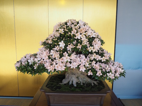 P5270015