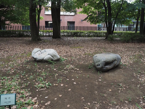 P7220074