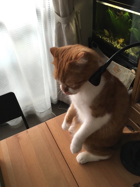 2016-07-17 09-20-48