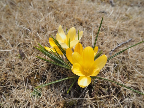 P3190031
