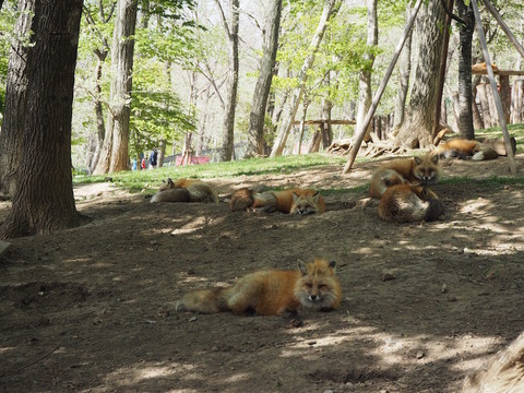 P5070057