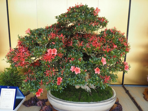 P5270016