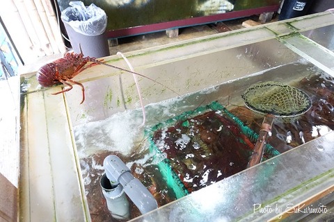 DSC00643