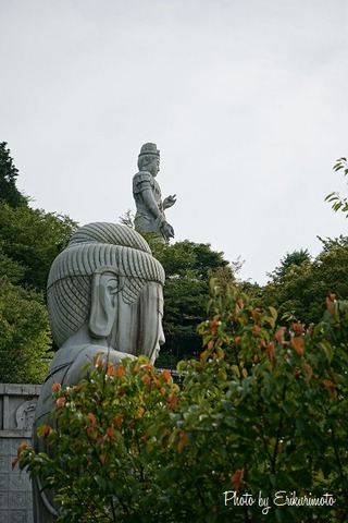 jpg15