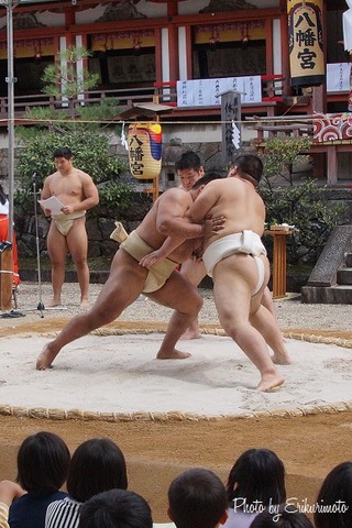 DSC08680のコピー