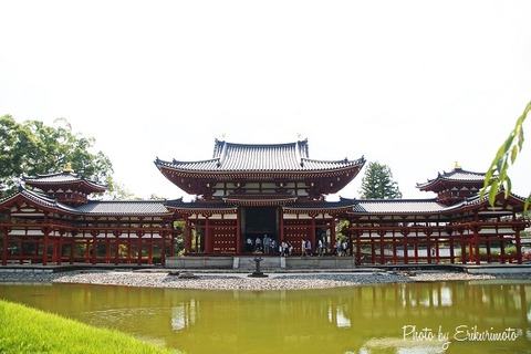 DSC08365のコピー