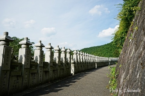jpg15