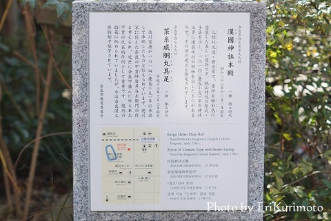 jpg20