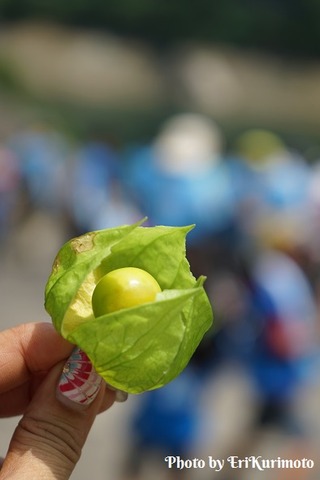 jpg15