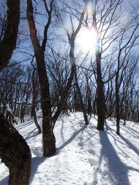 P1283335