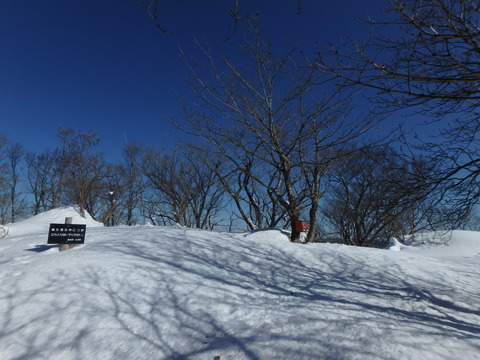 P1283319