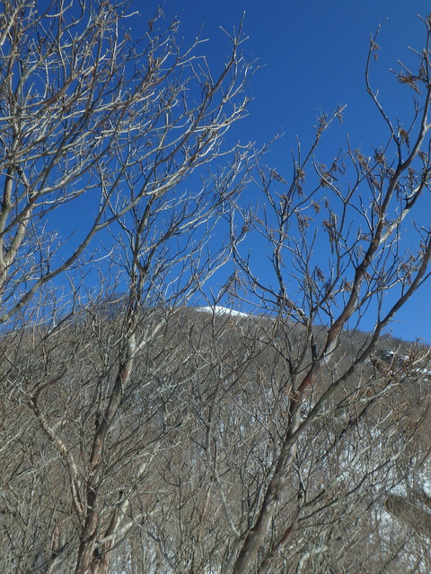 P1283296