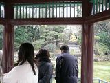 なんだかお金かかってそうな中だった