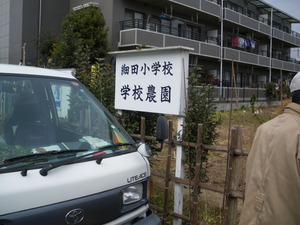 IMGP3374
