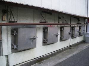 IMGP3350
