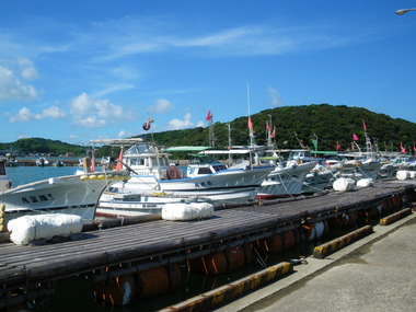 IMGP2670