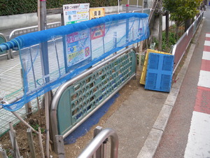 IMGP3367