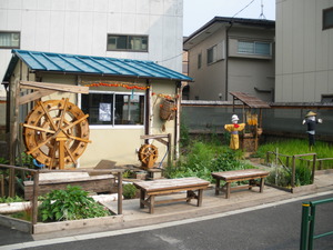 IMGP2621