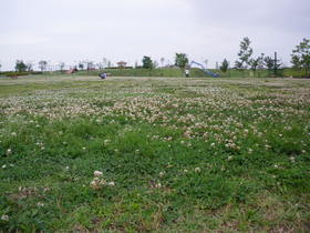 IMGP2578