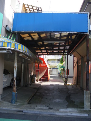 IMGP3786