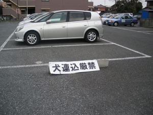 IMGP3360