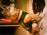 da339c20.jpg