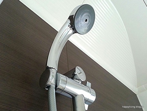 シャワーヘッド 掃除