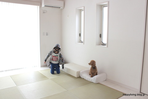 犬　階段　ベッド　ソファ　クッション ステップ (6)