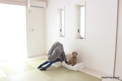 犬　階段　ベッド　ソファ　クッション (2)