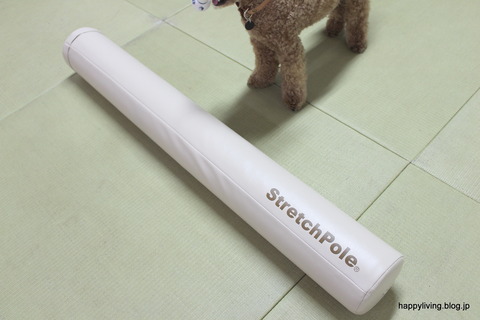 ストレッチポール (3)