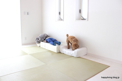 犬　階段　ベッド　ソファ　クッション (4)