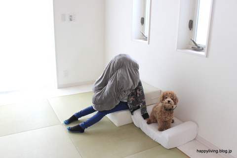犬　階段　ベッド　ソファ　クッション (3)