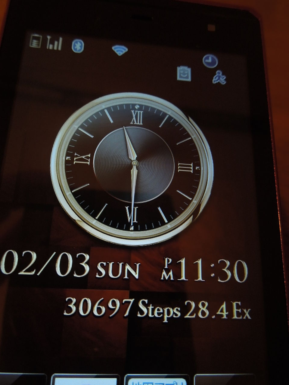 DSCN1323三万歩