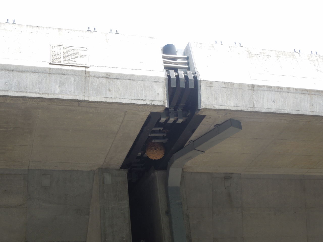 はち2