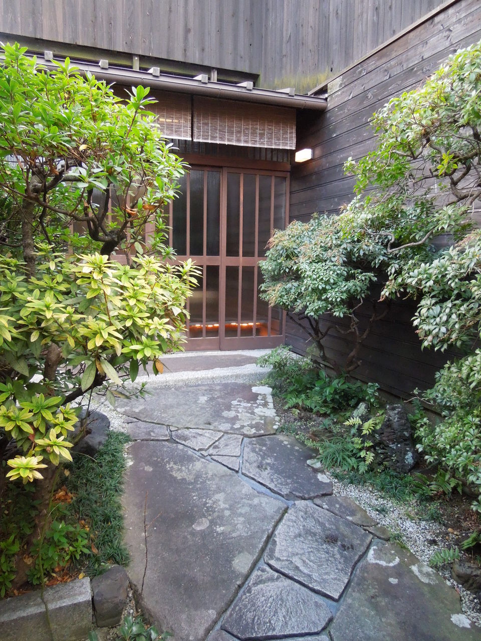 DSCN1379