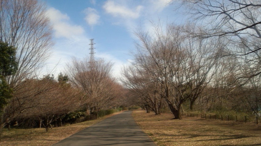 130202_121837小山内裏公園