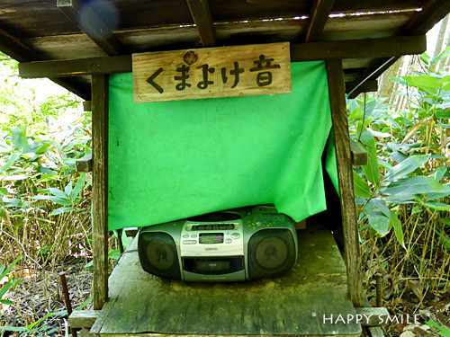 b874a55d.jpg